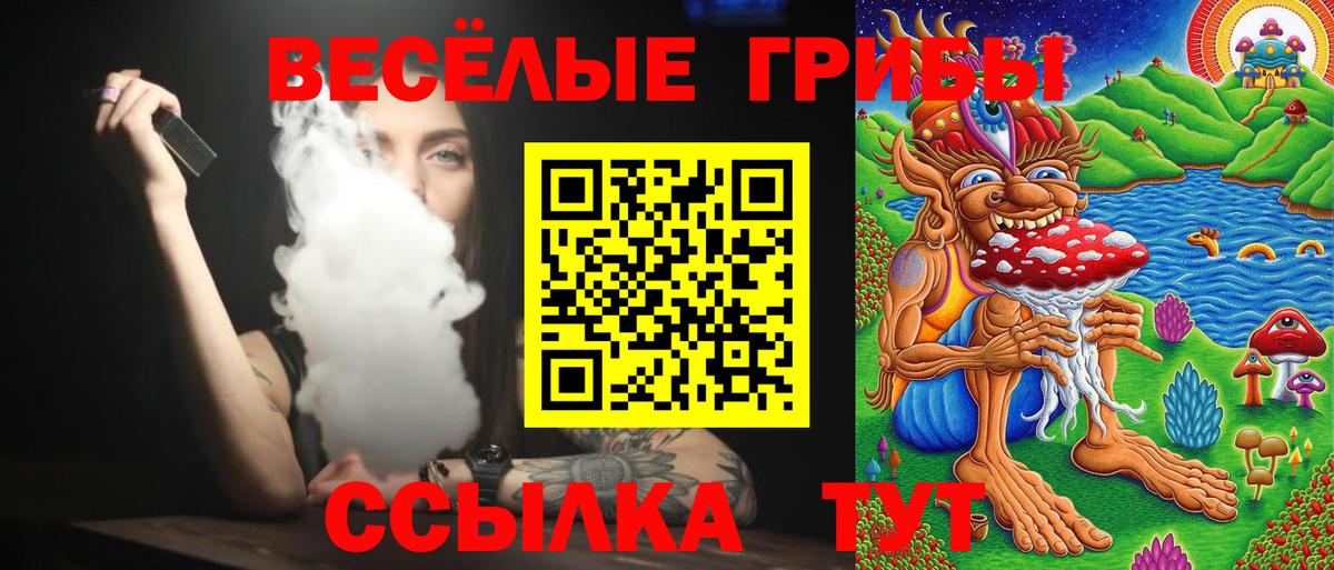 Псилоцибиновые грибы GOLDEN TEACHER Пермь